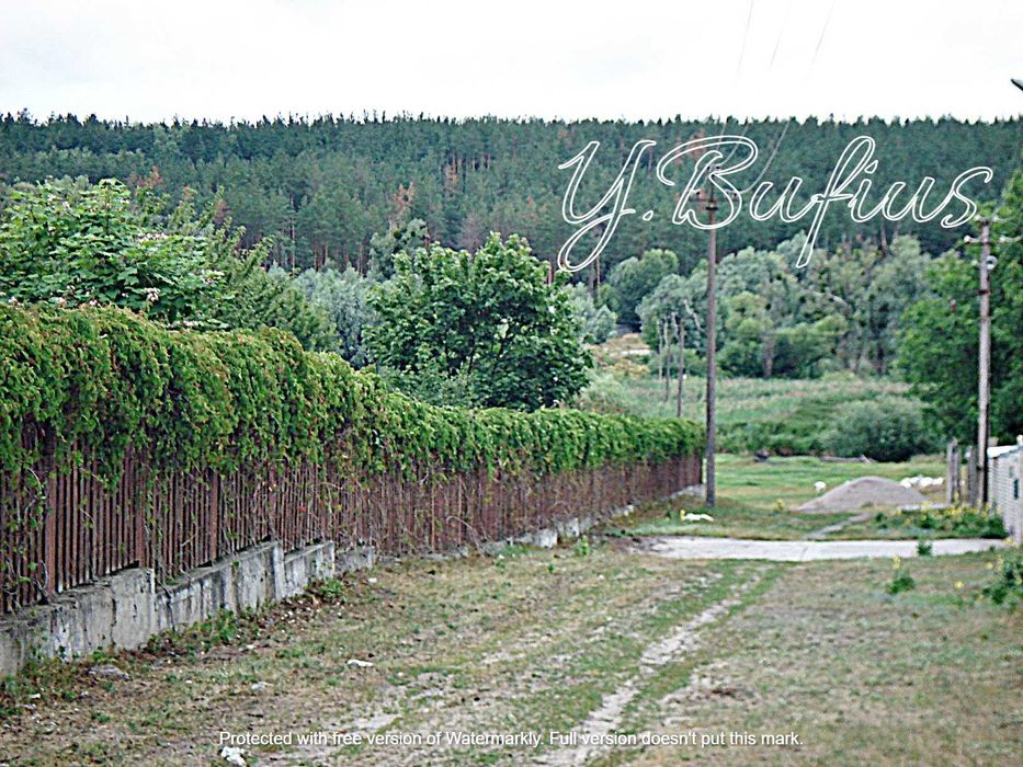 Одеський шлях. В. Салтанівка. Ділянка в сосновому лісі 25 с.