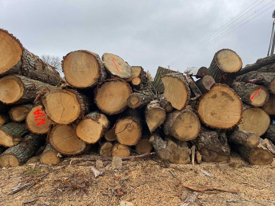 Drewno opałowe opał kominek kominkowe iglaste liściaste Pellet A1