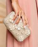 Clutch cerimónia