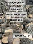 Дрова , брикет по Низкой цене,Бесплатная доставка