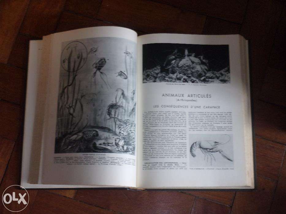 Livros antigos em francês