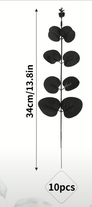 Liście eukaliptusa 10 szt cmentarz grób święto zmarłych