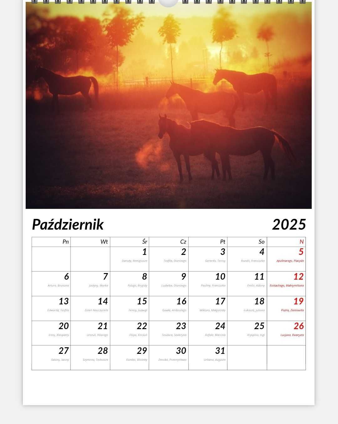 Fotokalendarz konie