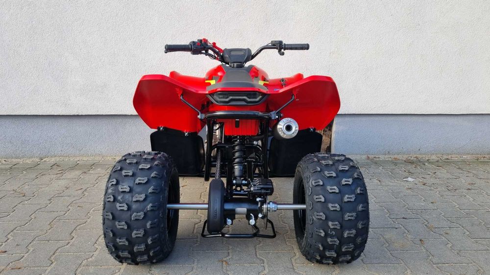 CF Moto C FORCE 110 od Muddy
