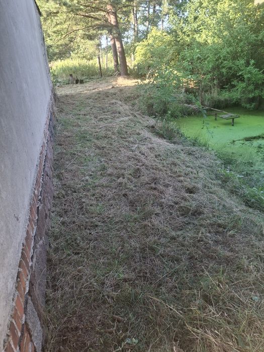 Koszenie traw, trawników, usługi glebogryzarką, wycinka drzew