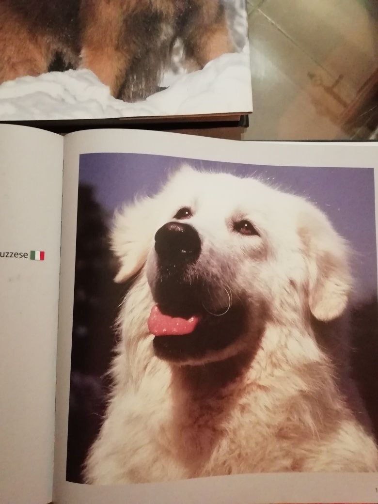 Livro de raças de cães