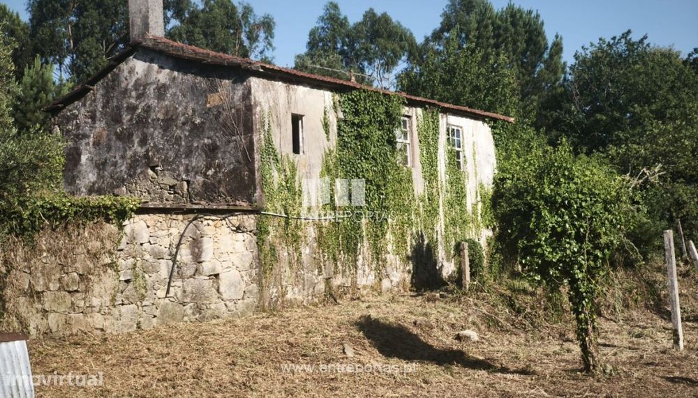 Quintinha para venda, Covas, Vila Nova de Cerveira