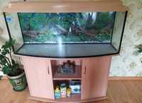 Срочно продаеться аквариум на  220 литров  ТМ Природа  и комплектующие