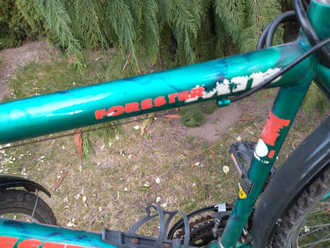 Arkus Forester MTB