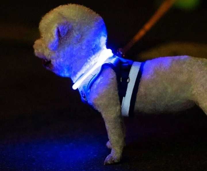 Светодиодный светящийся ошейник для собак