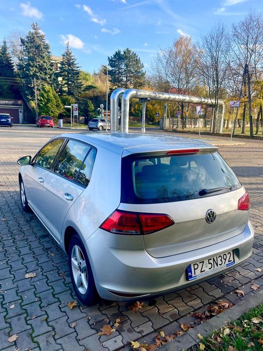 Volkswagen Golf Golf VII na sprzedaż