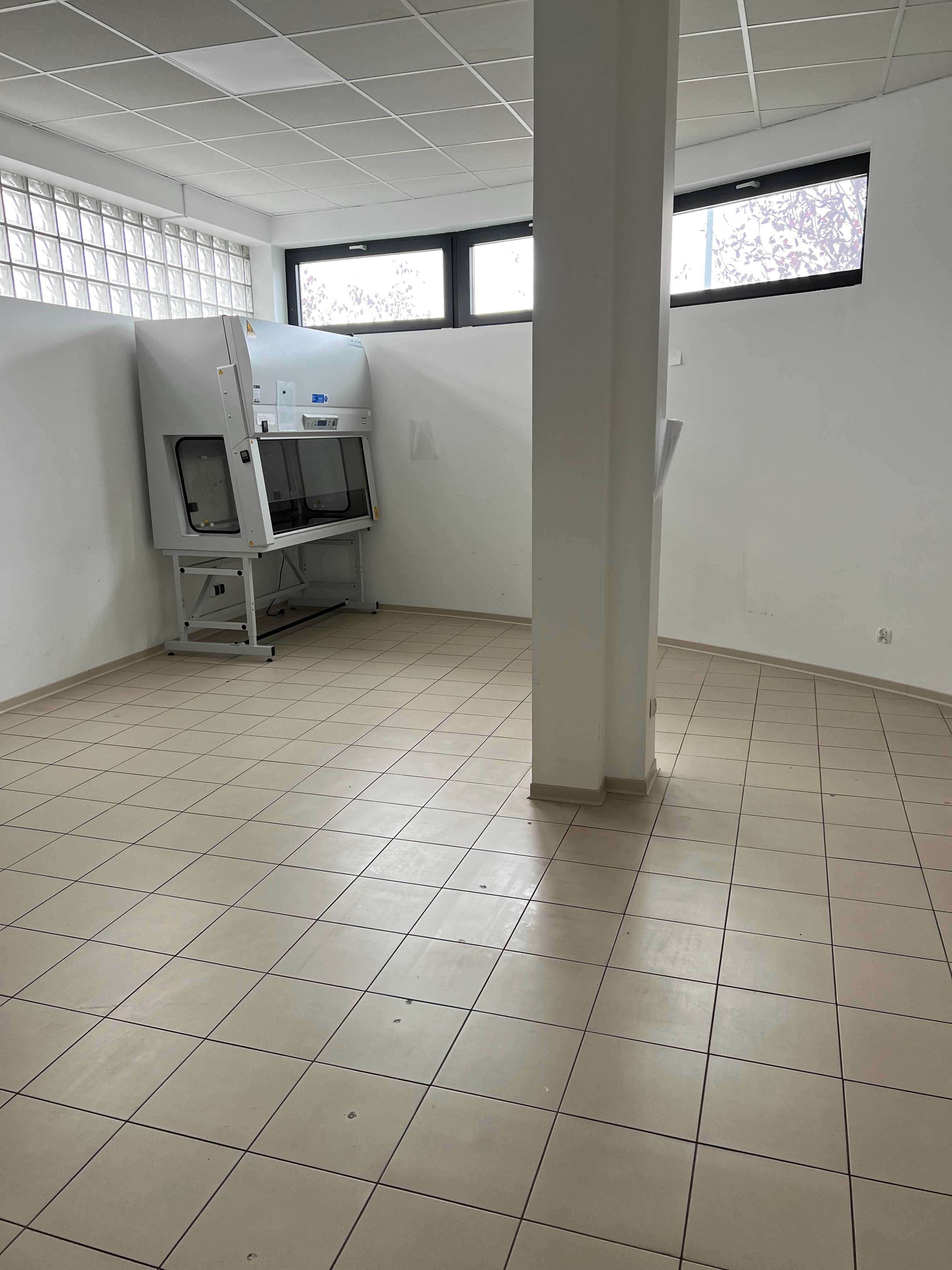 wynajmę w centrum Puław lokal handlowo / usługowy 80 m2/