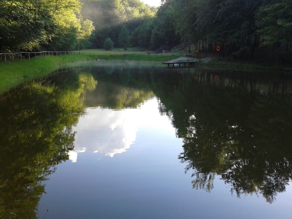 -15% LEŚNICZÓWKA domek sauna balia stawy w lesie 2,5 ha wyłączność!