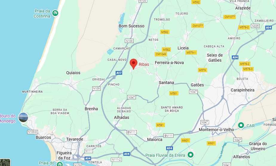 Terreno na Ribas  ( Figueira da Foz)