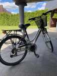Rower damski Arkus