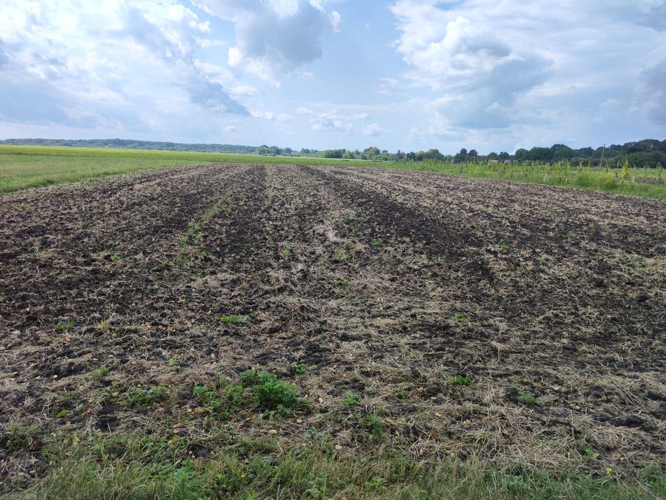 Земельна ділянка під забудову