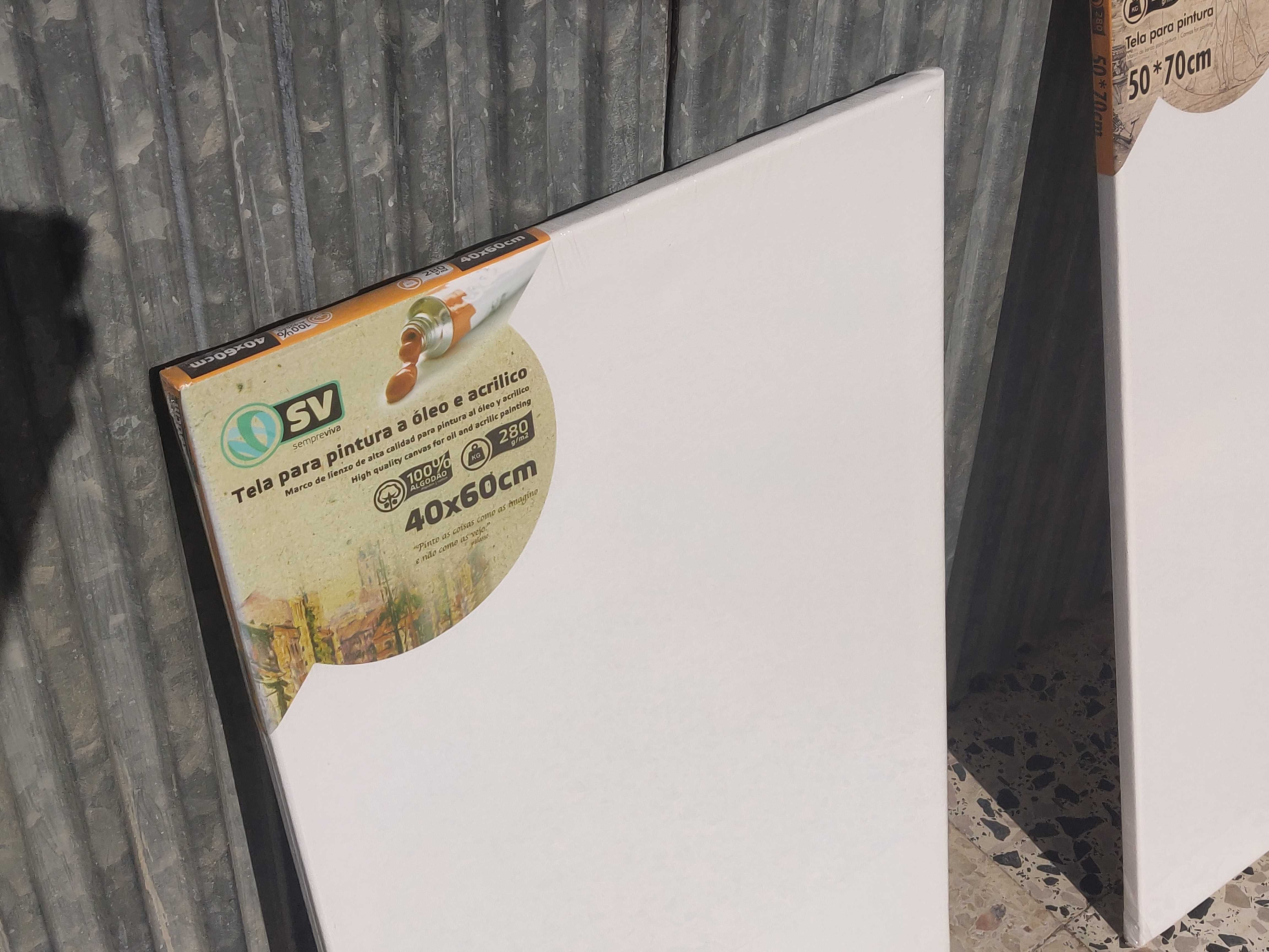 Quadros para pintar