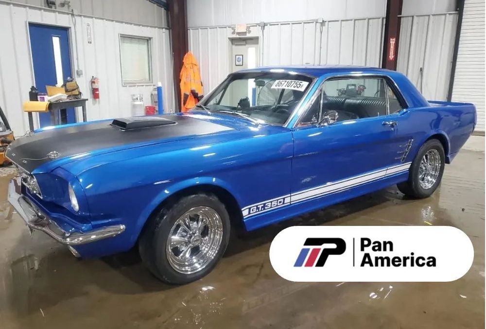 Ford Mustang Mustang GT 350 1966  Dla Pasjonatów - GT 350