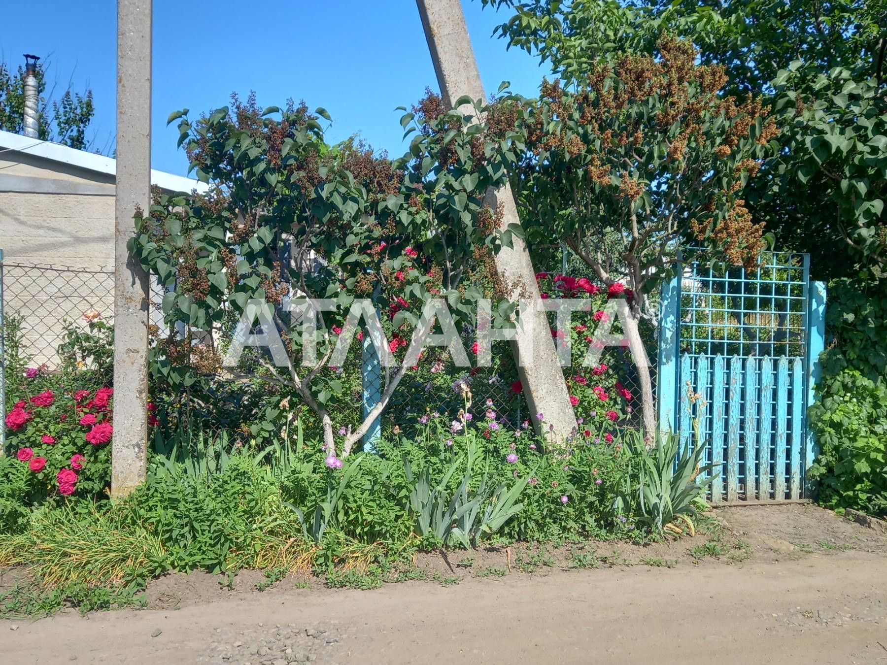 Дача на участке в пригороде Одессы
