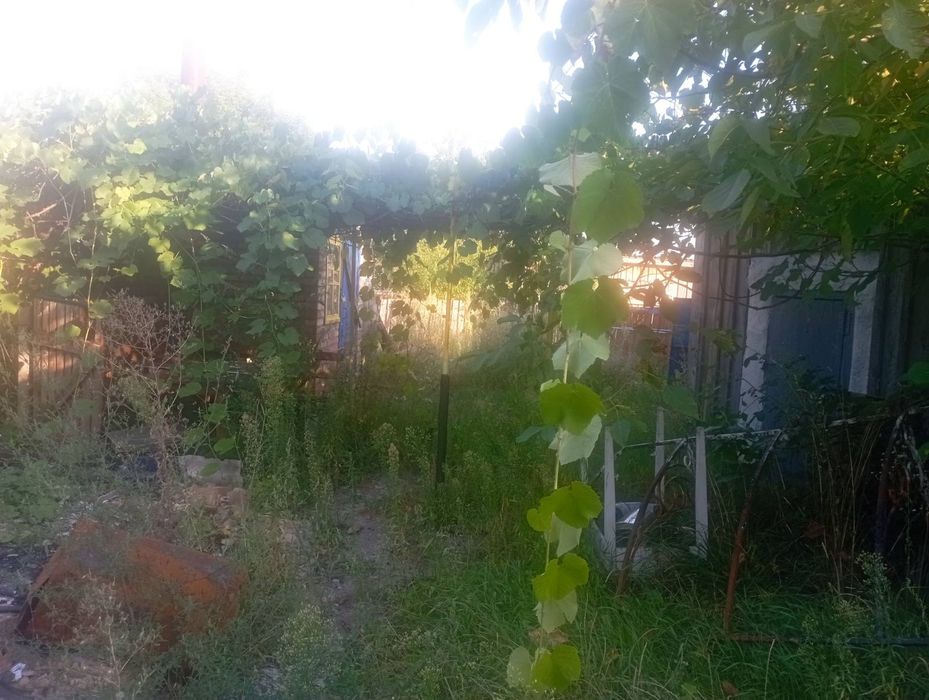 Продаю земельну ділянку від власника