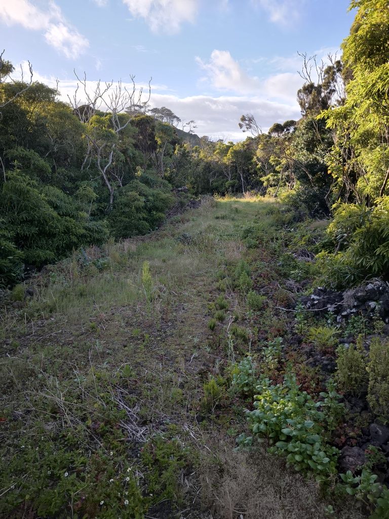 Terreno para venda