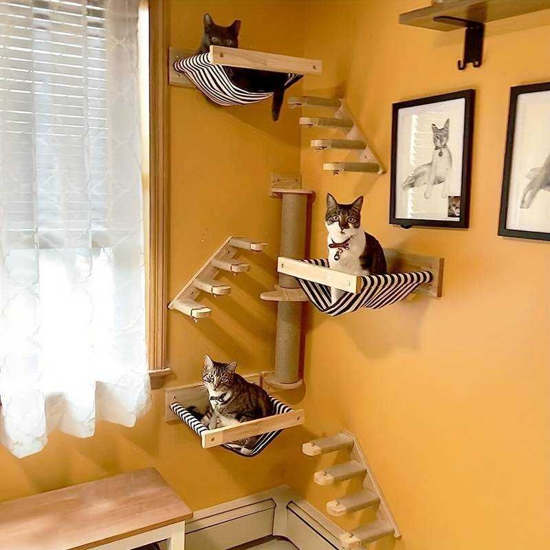 Escada de escalada para gatos