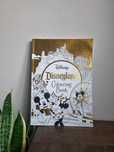 Walt Disney kolorowanka duża nowa A3