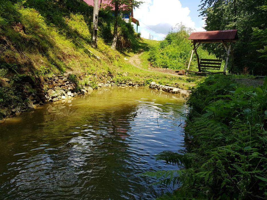 Котедж "Дикий Ліс" проживання/відпочинок/оренда житла Карпатах Яремче