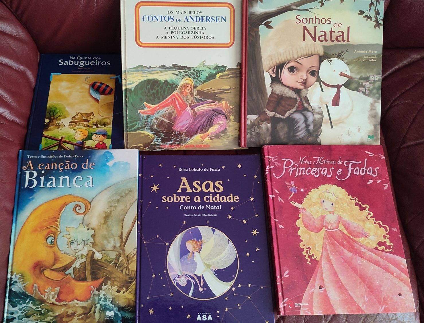 Literatura infantil lúdica