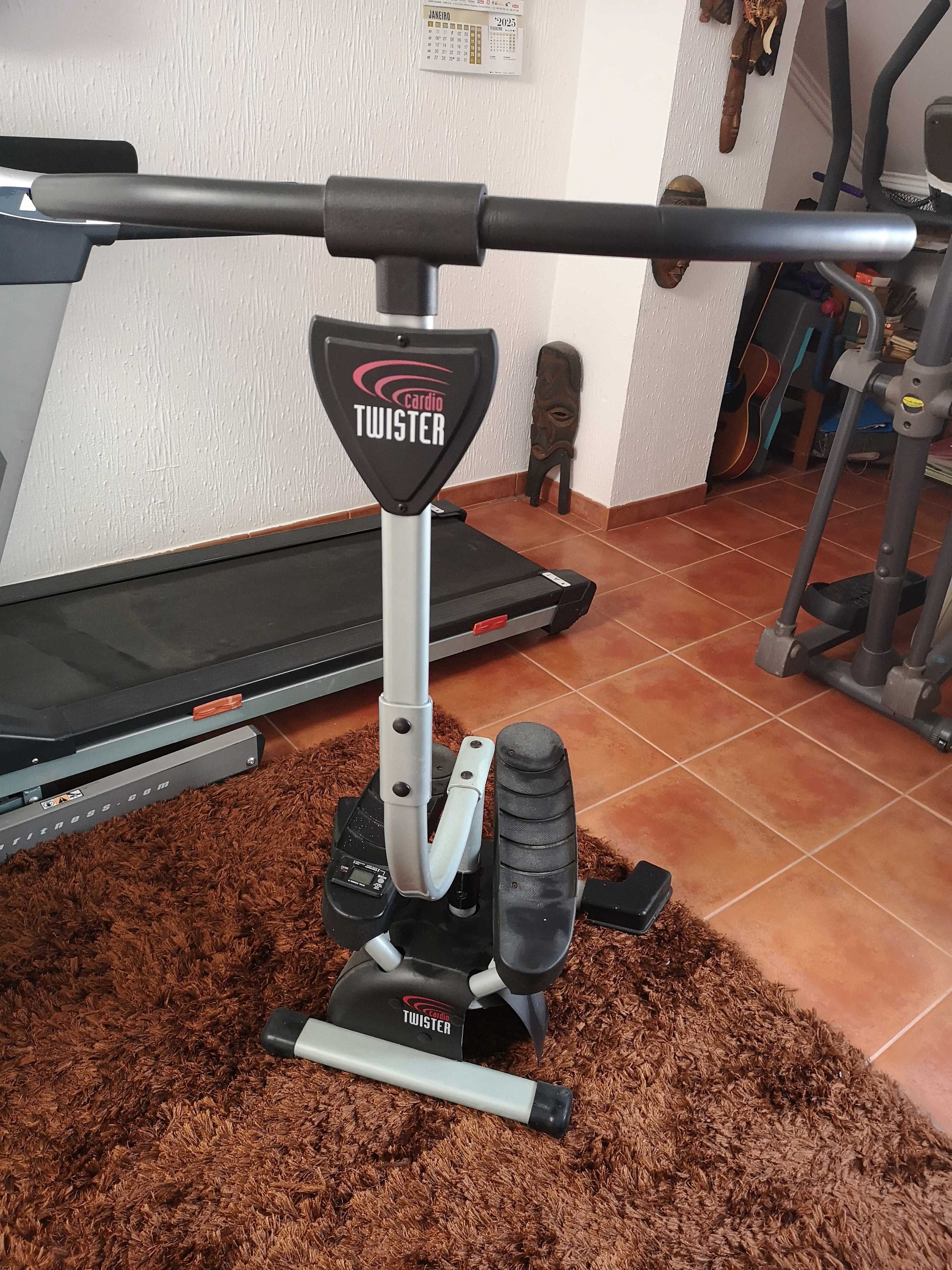 Stepper Cardio Twister