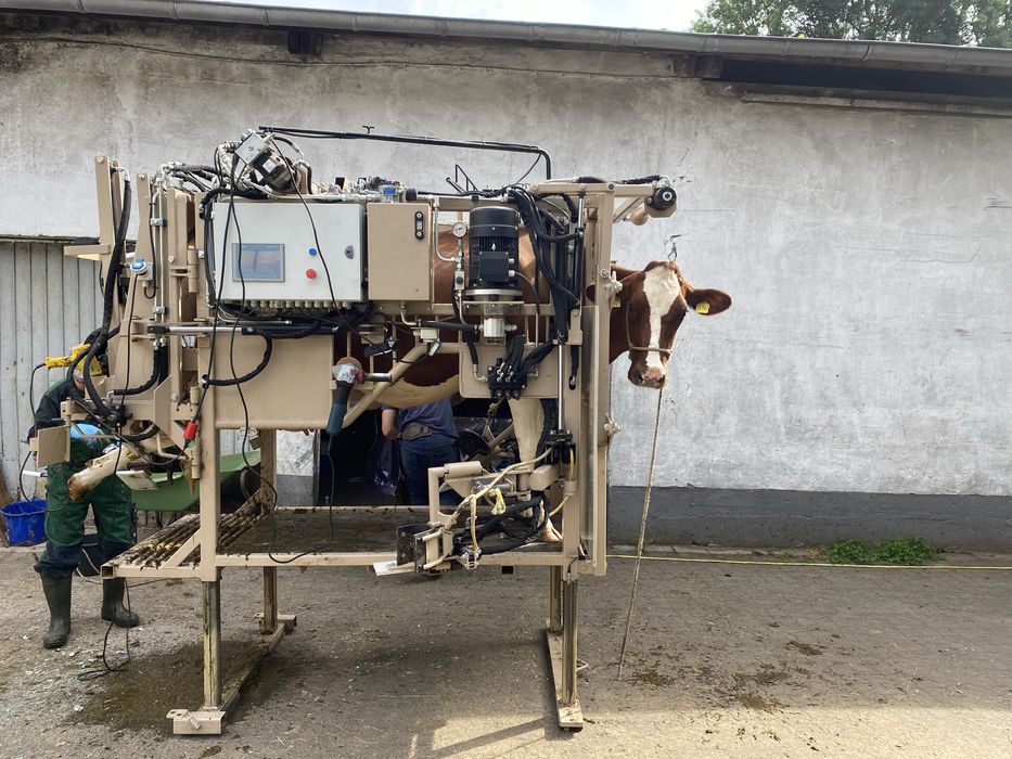 Profesionalna korekcja racic