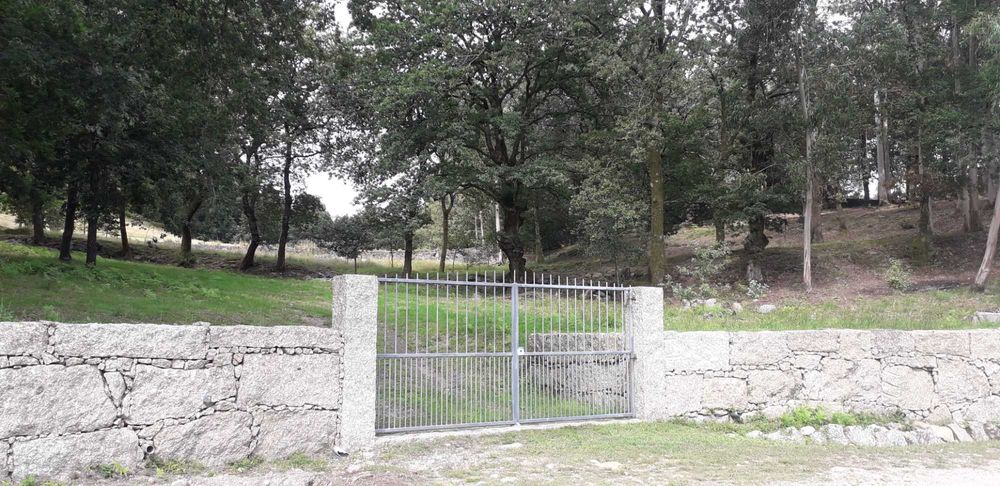 Propriedade com ca. 5 ha em Vieira do Minho