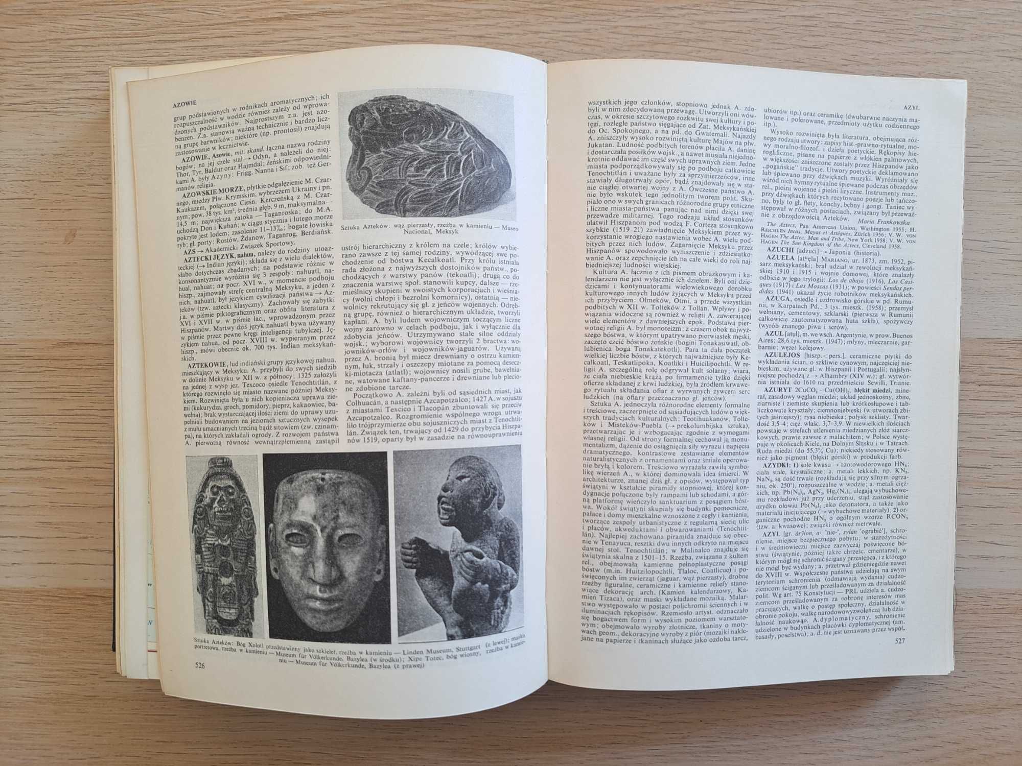1965 rok. Wielka Encyklopedia Powszechna PWN. Tom 1-13