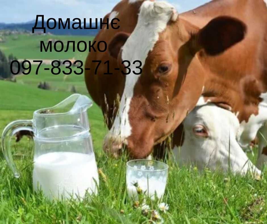 Домашнє коров"яче молоко