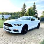Wypozyczalnia aut Promocja wynajem Mustang Coupe okazja slub wesele