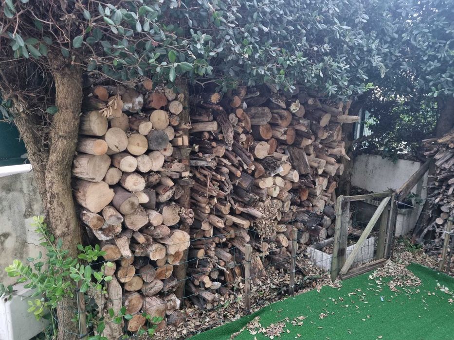 1 t. De lenha para recuperador de calor/lareira