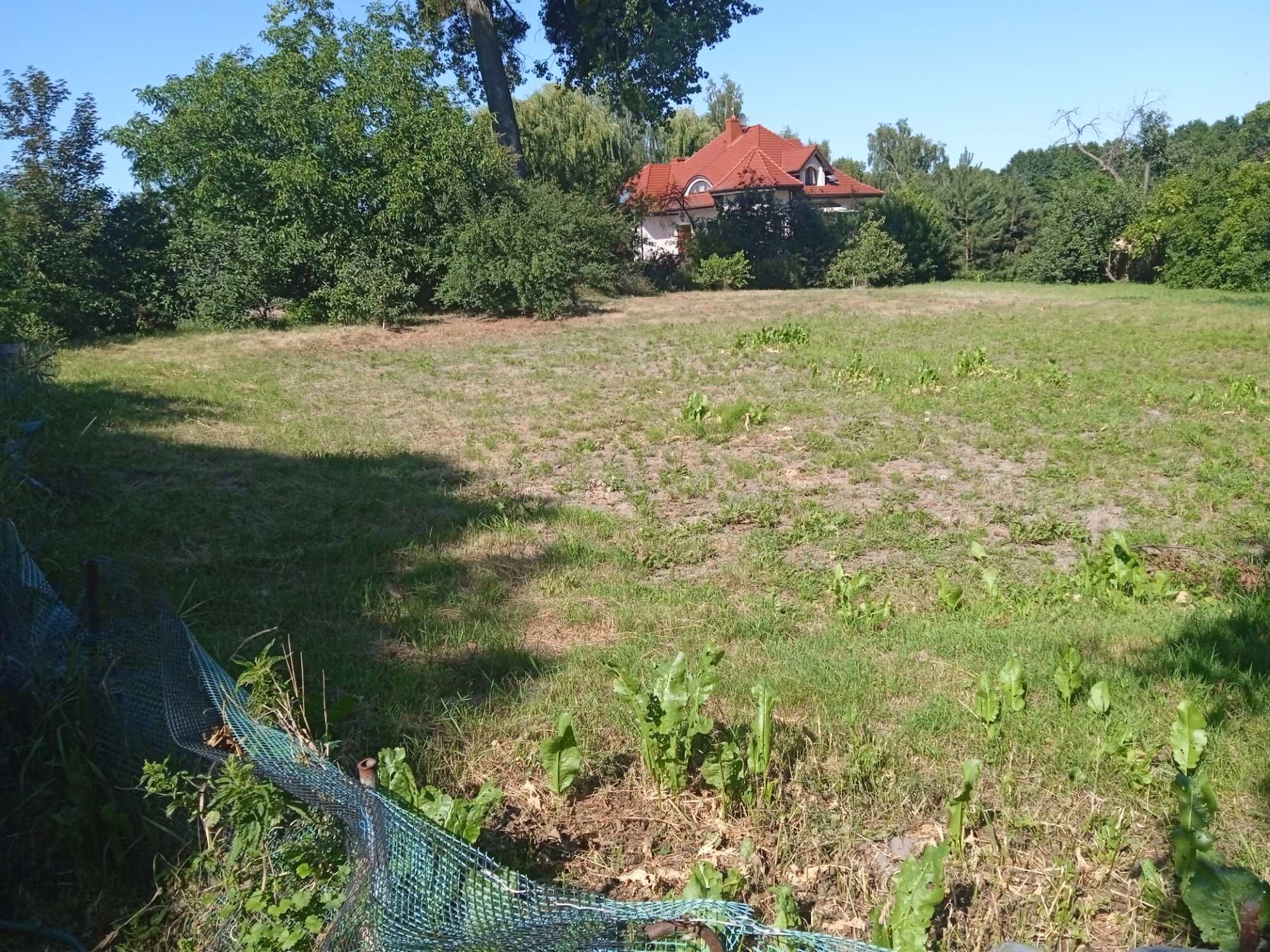 Działka ogrodnicza 17ar