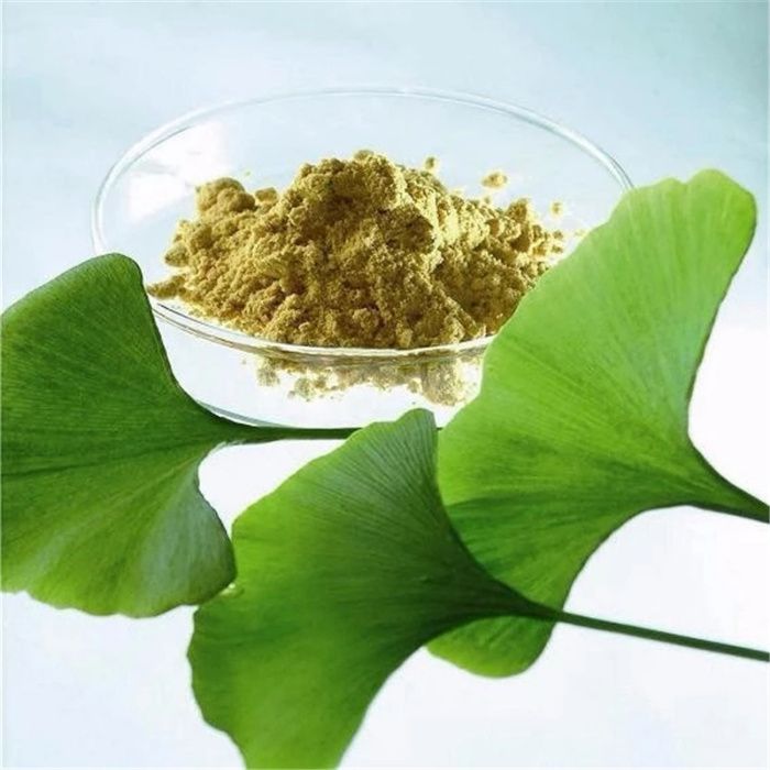 ⊛ 125 gramas de Ginkgo Biloba em pó