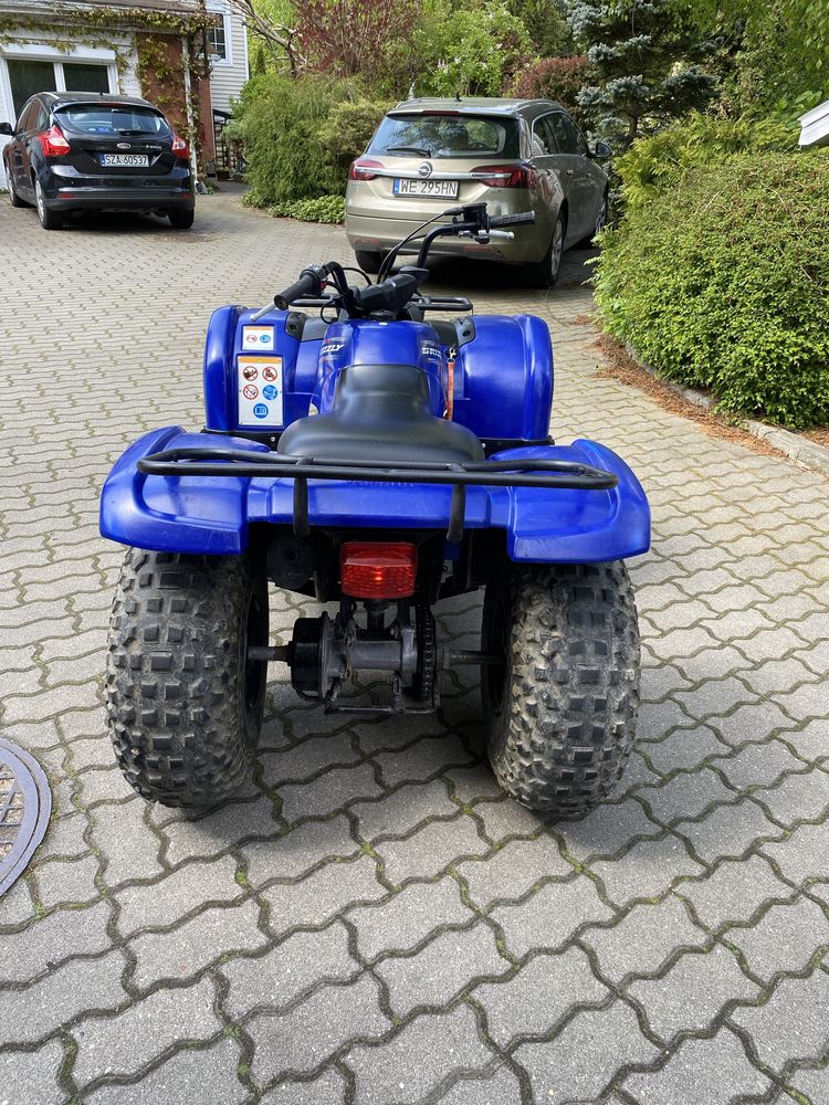 Yamaha Grizzly 125