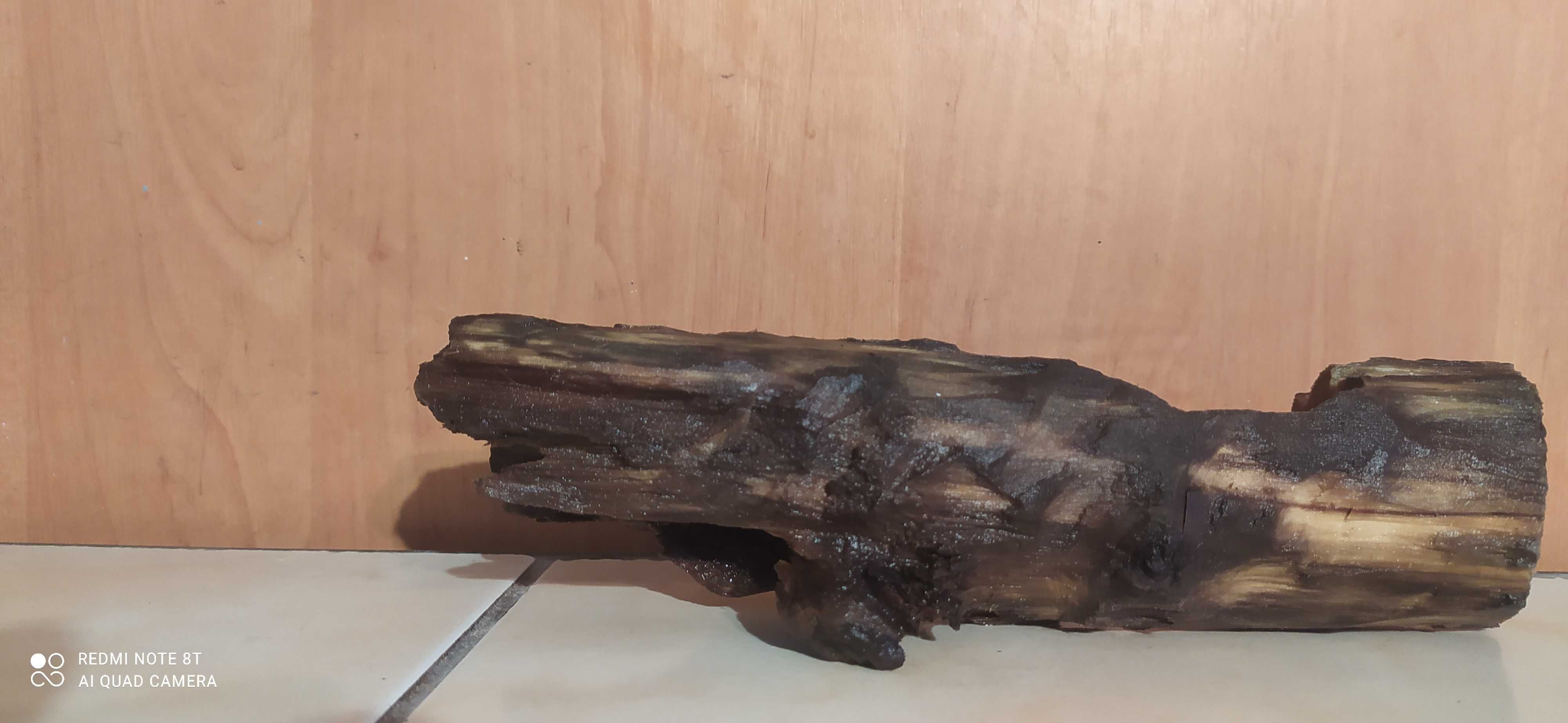 Korzeń,konar do akwarium-21 cm-gratis mech