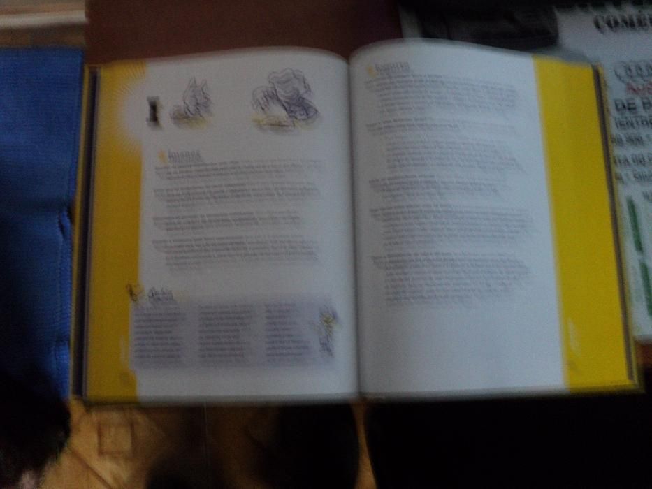 Utilizações Extraordinárias para Coisas do dia a dia