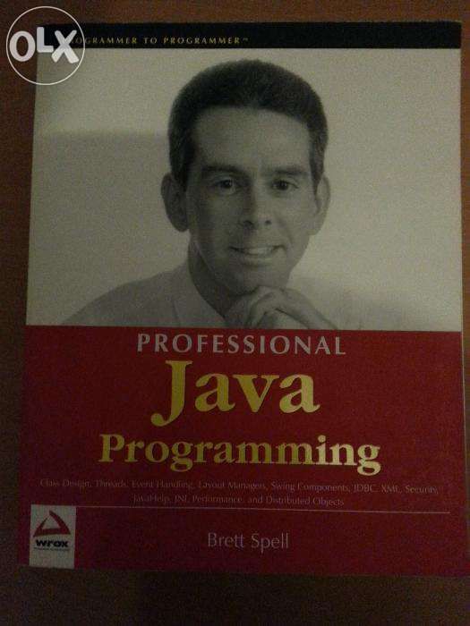 Professional JAVA Programming - Brett Spell