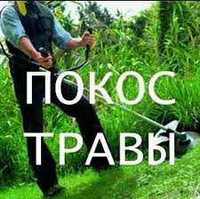 Покос Травы не дорого 380937716757