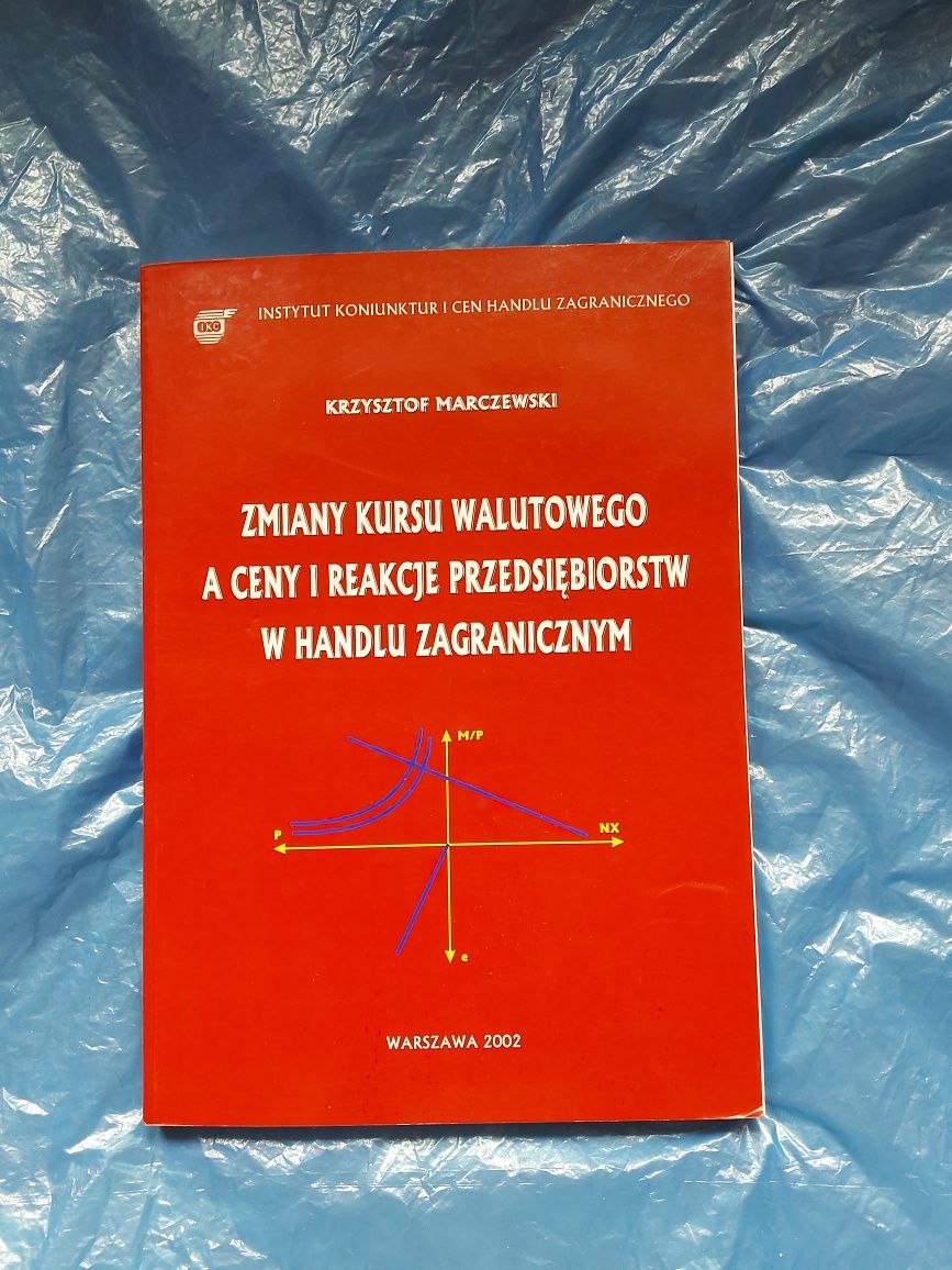 Książka Zmiany kursu walutowego 2002rok