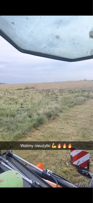 Mulczer SaMASZ MAMUT 860 mulczowanie kukurydzy nieużytków pług dłutowy