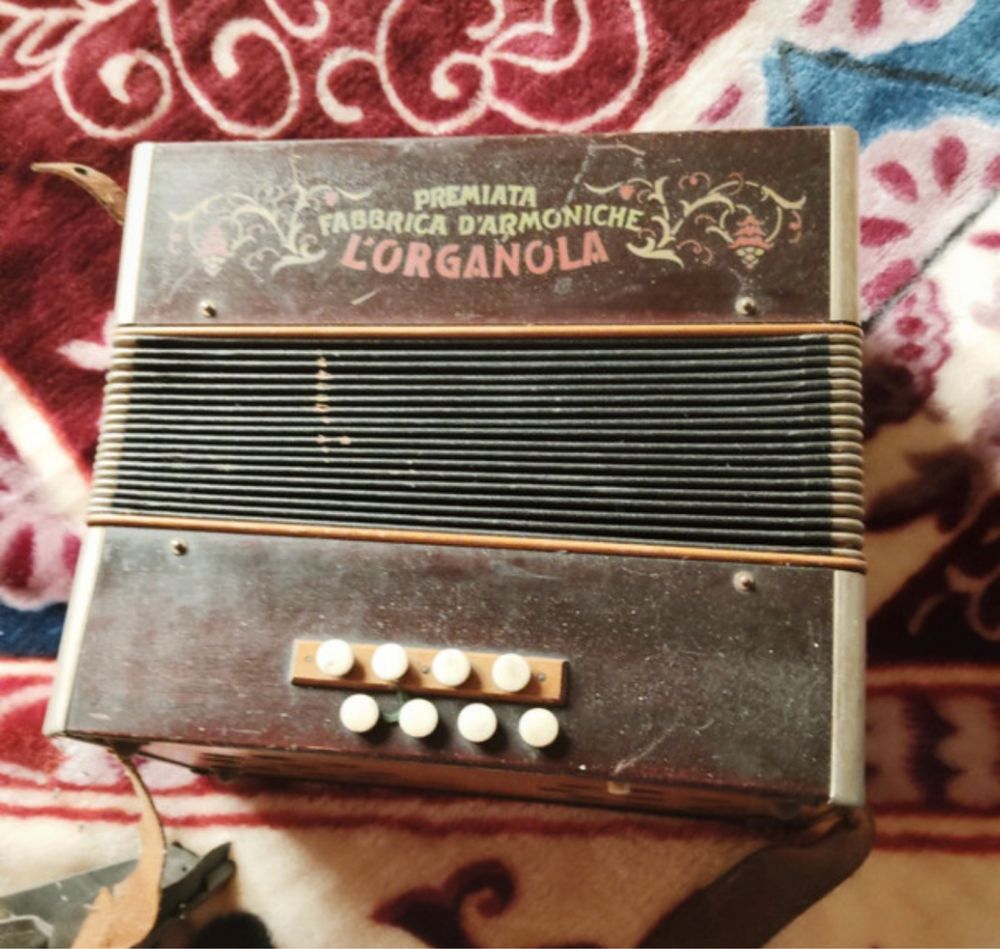 Concertina Organola de Madeira 1930