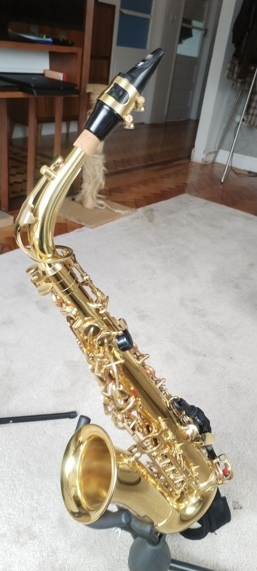 Saxofone Alto Lechnical
