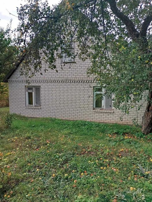 Продам добротну господарську садибу в Сковородинівці