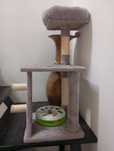 Plataforma para gatos