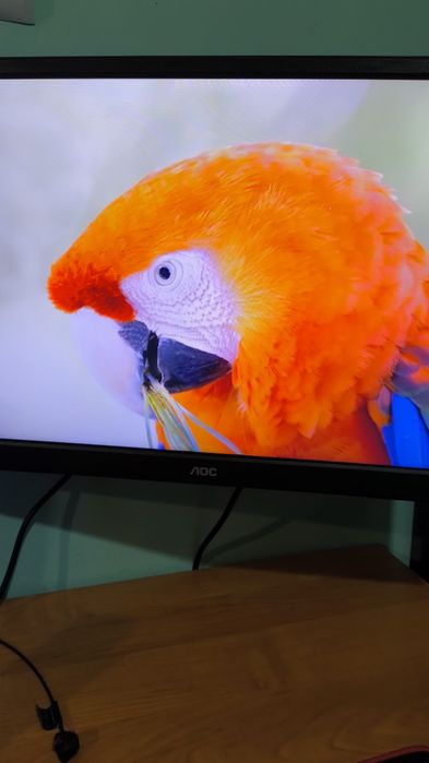 Monitor AOC M2470SWH